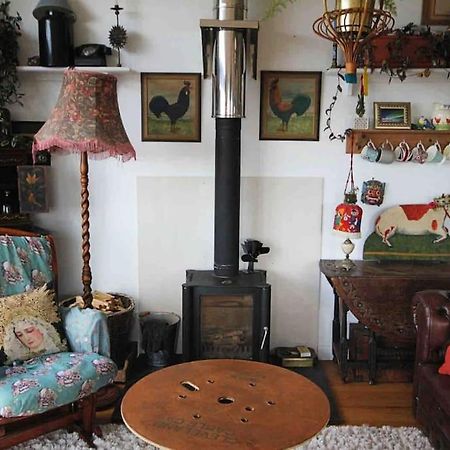 Spacious Cabin On Isolated Farm With Sea View Bude Extérieur photo